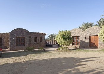 main photo of Baharia Oasis